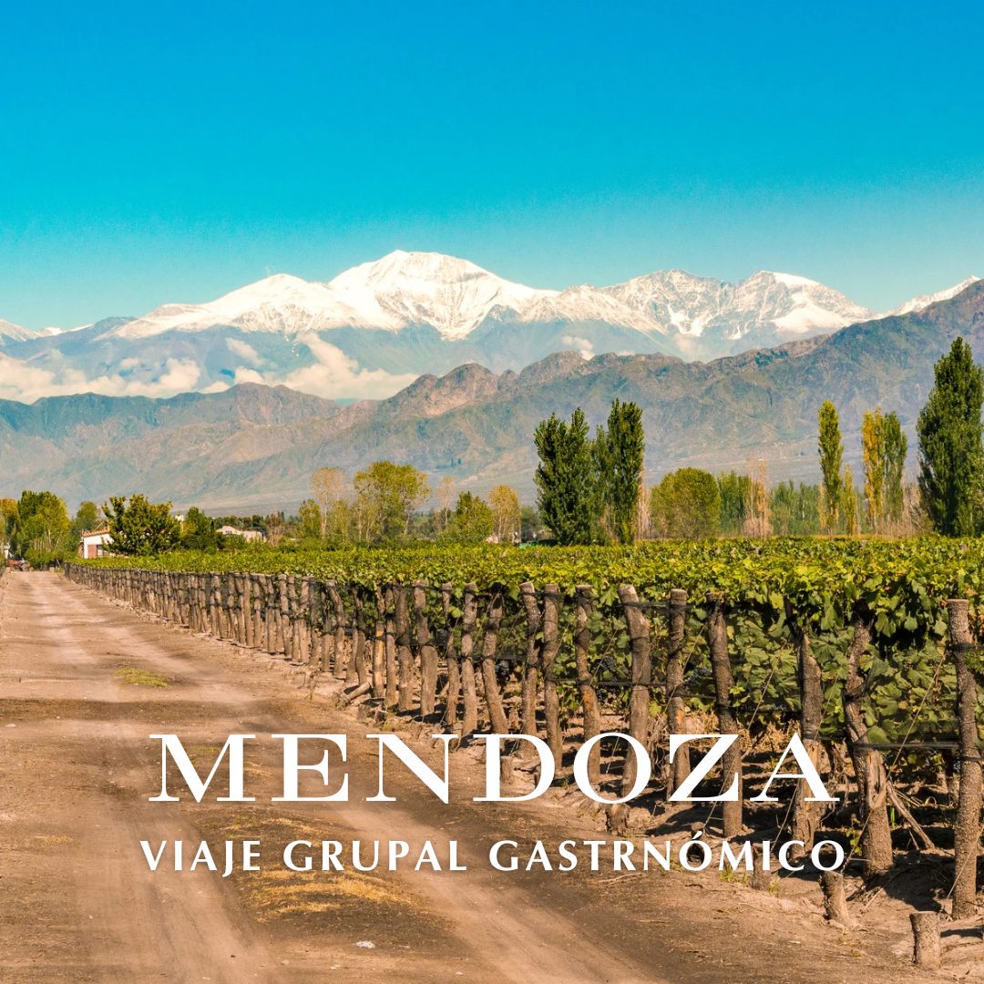 Mendoza_20240824_091033_0000