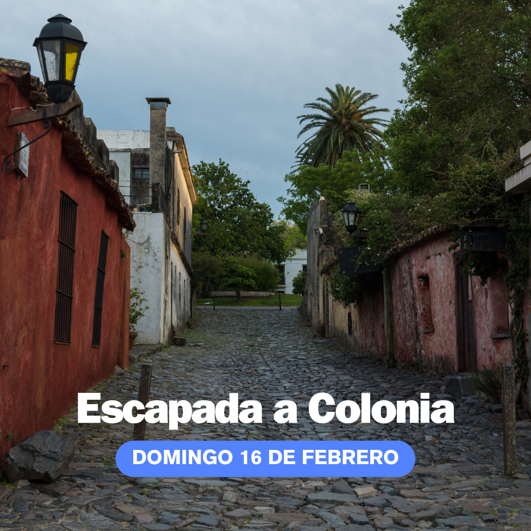 Day Tour a Colonia